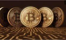 Situs Trading BTC Indodax Down Ini Alasannya, Jangan Panik Gaes